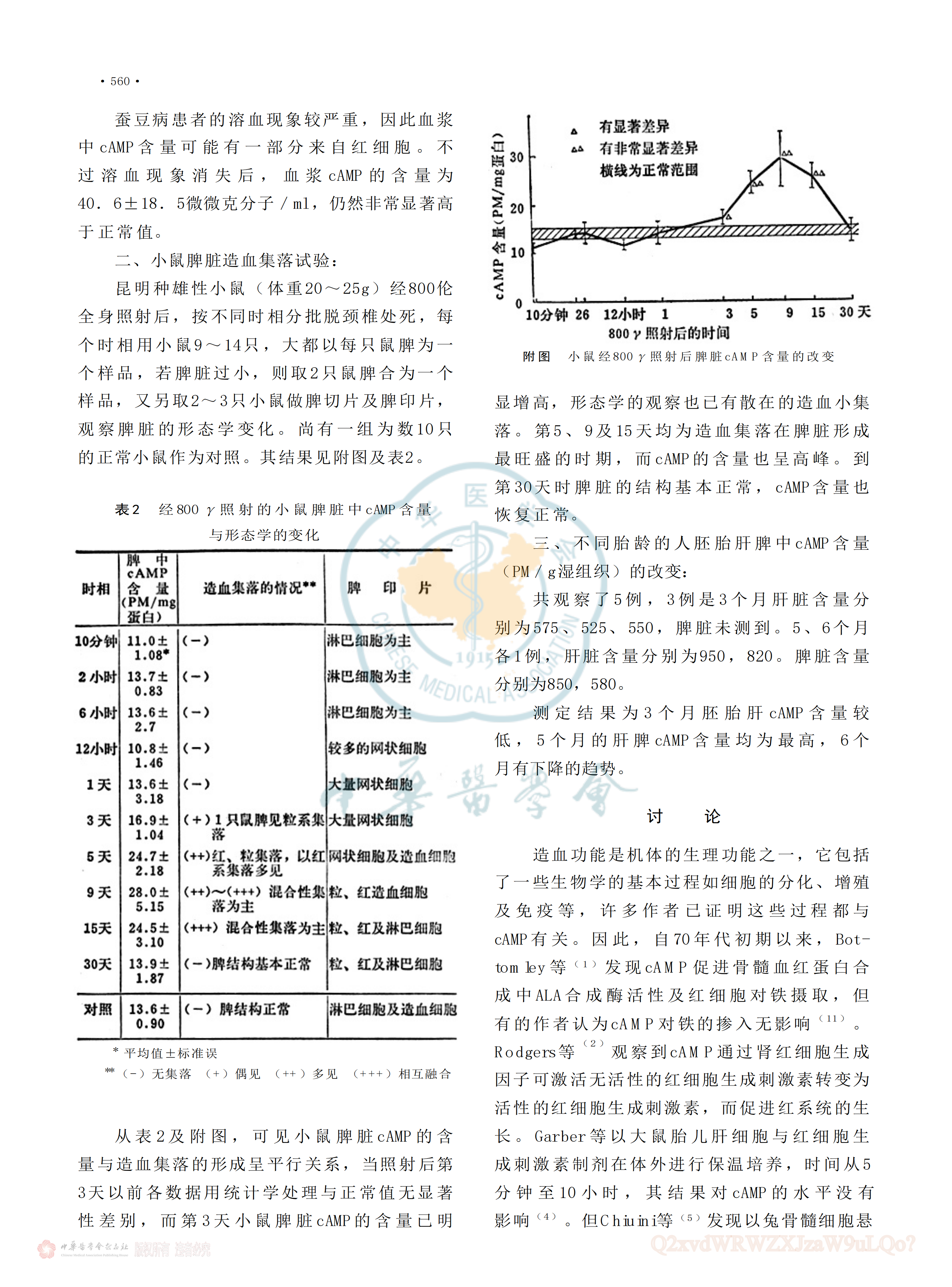 cAMP与造血功能的初步探讨_02.png